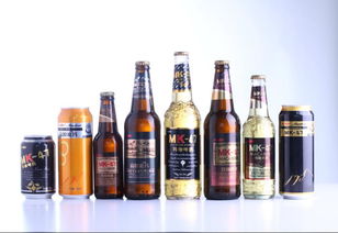 瑪咖啤酒代理加盟與啤酒設備全解析 機遇與選擇